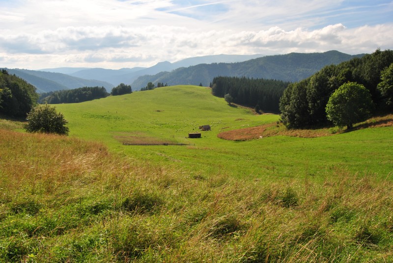 pepajs.cz